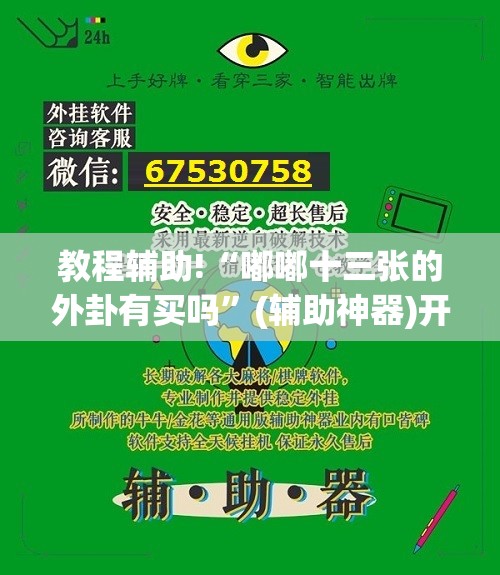 教程辅助!“嘟嘟十三张的外卦有买吗”(辅助神器)开挂详细教程