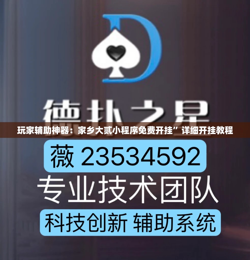 玩家辅助神器：家乡大贰小程序免费开挂”详细开挂教程