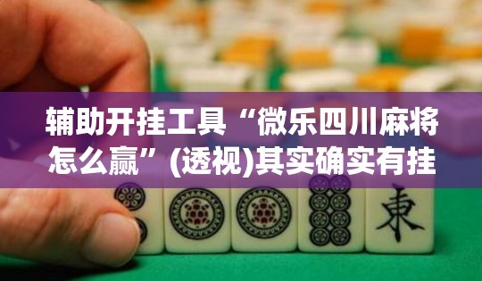 辅助开挂工具“微乐四川麻将怎么赢”(透视)其实确实有挂