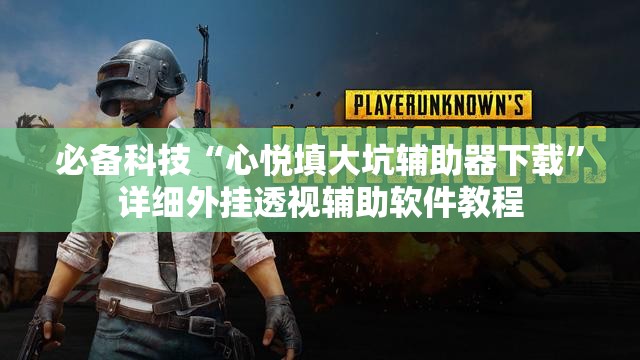 必备科技“心悦填大坑辅助器下载”详细外挂透视辅助软件教程