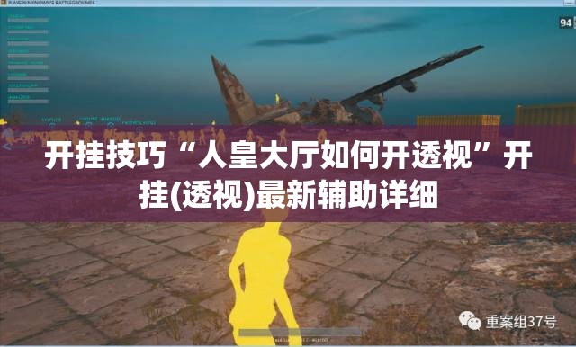 开挂技巧“人皇大厅如何开透视”开挂(透视)最新辅助详细