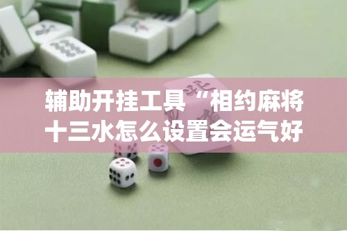 辅助开挂工具“相约麻将十三水怎么设置会运气好(透视)”开挂辅助脚本+详细开挂安装教程