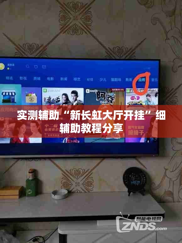 实测辅助“新长虹大厅开挂”细辅助教程分享