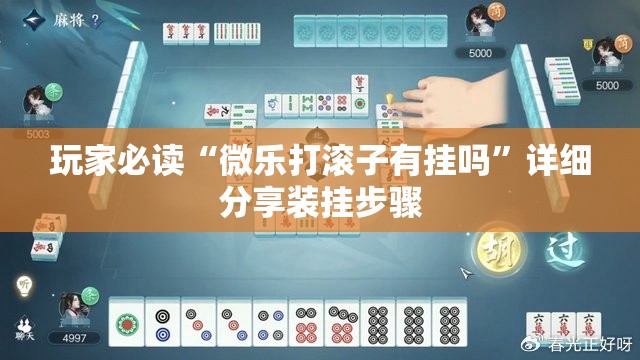 玩家必读“微乐打滚子有挂吗”详细分享装挂步骤