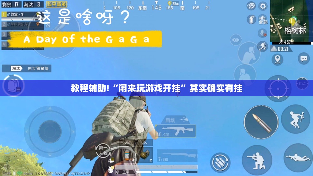 教程辅助!“闲来玩游戏开挂”其实确实有挂
