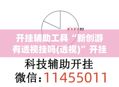 开挂辅助工具“新创游有透视挂吗(透视)”开挂辅助脚本+详细开挂安装教程