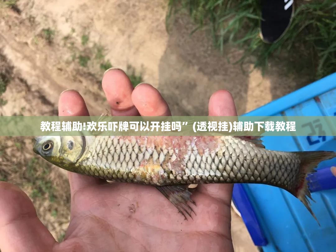 教程辅助!欢乐吓牌可以开挂吗”(透视挂)辅助下载教程