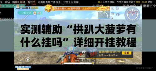 实测辅助“拱趴大菠萝有什么挂吗”详细开挂教程