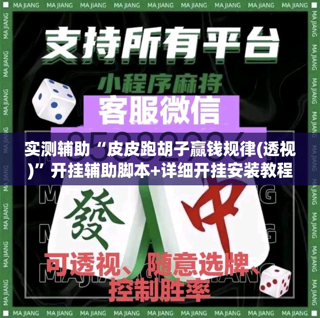 实测辅助“皮皮跑胡子赢钱规律(透视)”开挂辅助脚本+详细开挂安装教程