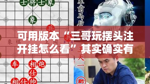 可用版本“三哥玩摆头注开挂怎么看”其实确实有挂