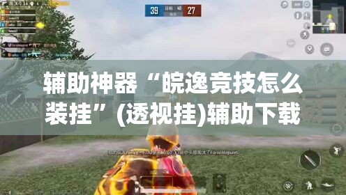 辅助神器“皖逸竞技怎么装挂”(透视挂)辅助下载教程