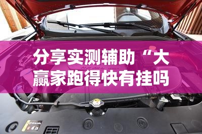 分享实测辅助“大赢家跑得快有挂吗”开挂详细教程
