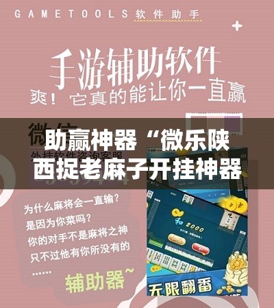 助赢神器“微乐陕西捉老麻子开挂神器”开挂详细教程