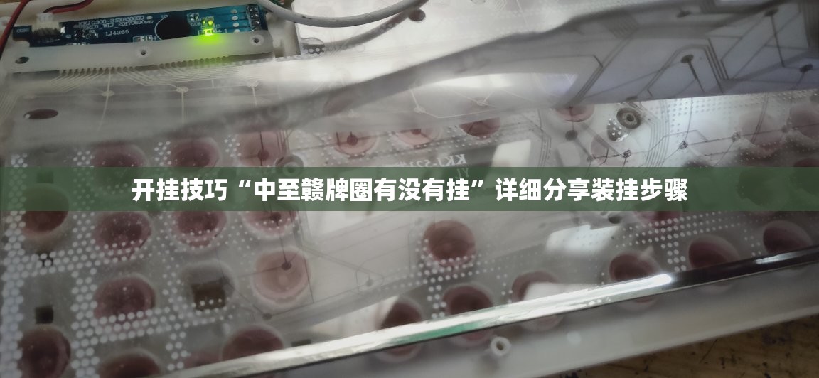 开挂技巧“中至赣牌圈有没有挂”详细分享装挂步骤