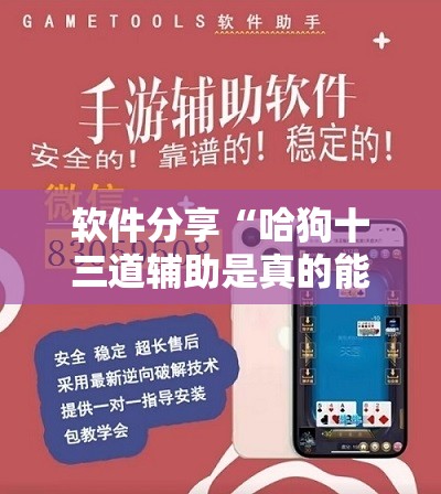 软件分享“哈狗十三道辅助是真的能用吗	”开挂辅助脚本+详细开挂安装教程