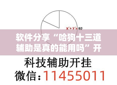 软件分享“哈狗十三道辅助是真的能用吗”开挂辅助脚本+详细开挂安装教程