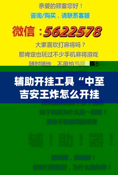 辅助开挂工具“中至吉安王炸怎么开挂”开挂(透视)辅助神器