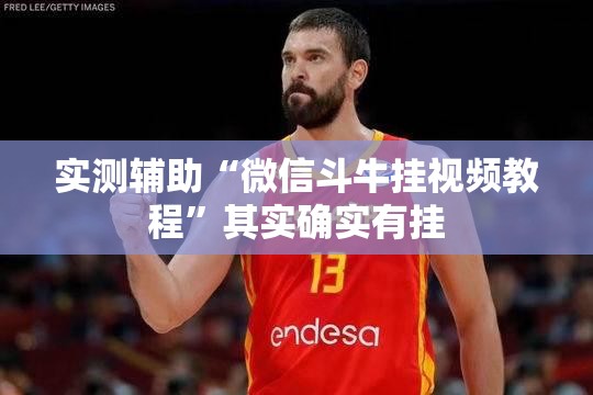 实测辅助“微信斗牛挂视频教程”其实确实有挂