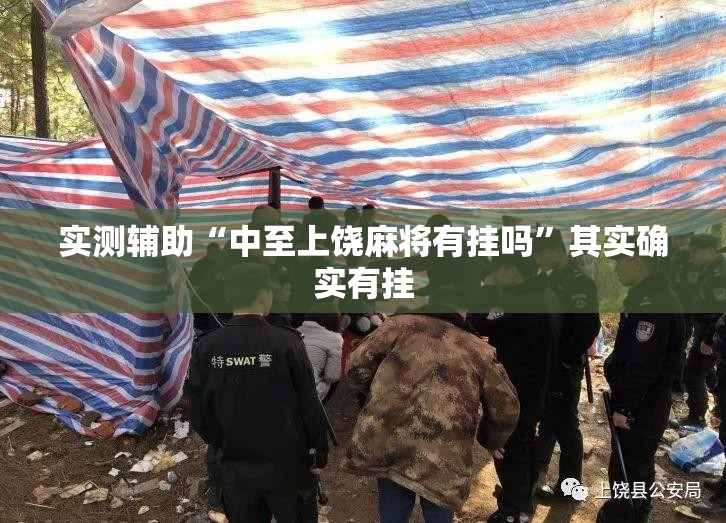 实测辅助“中至上饶麻将有挂吗”其实确实有挂