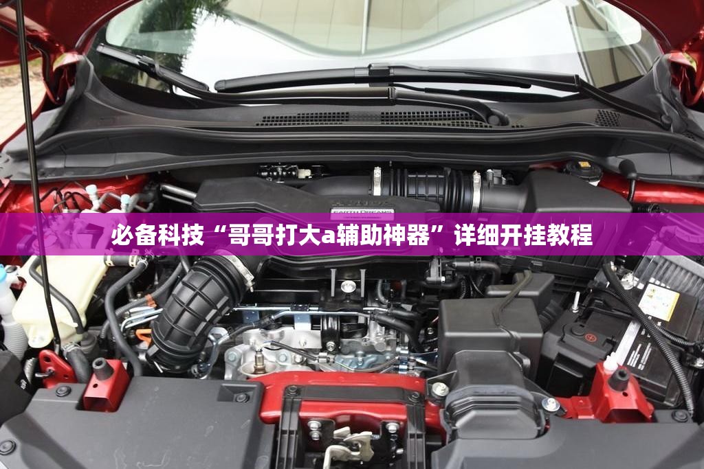 必备科技“哥哥打大a辅助神器	”详细开挂教程
