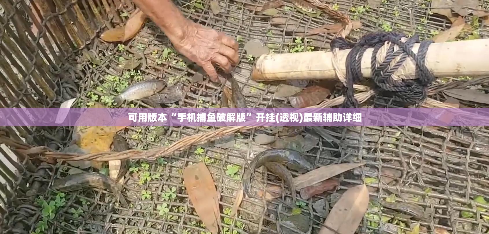 可用版本“手机捕鱼破解版”开挂(透视)最新辅助详细