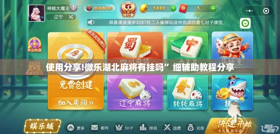 使用分享!微乐湖北麻将有挂吗”细辅助教程分享
