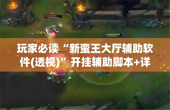 玩家必读“新蛮王大厅辅助软件(透视)”开挂辅助脚本+详细开挂安装教程