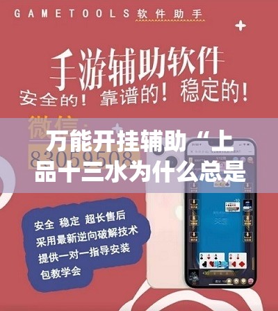万能开挂辅助“上品十三水为什么总是输”开挂(透视)最新辅助详细