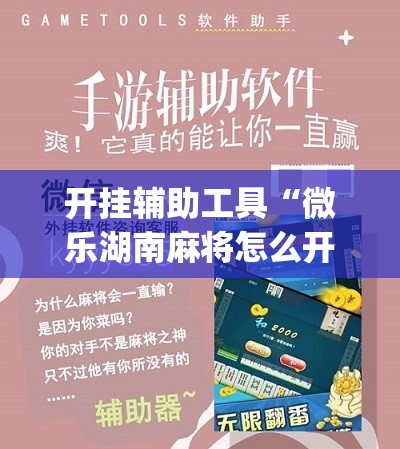 开挂辅助工具“微乐湖南麻将怎么开免费的挂”(免费)开挂辅助教学(最新辅助开挂教程)