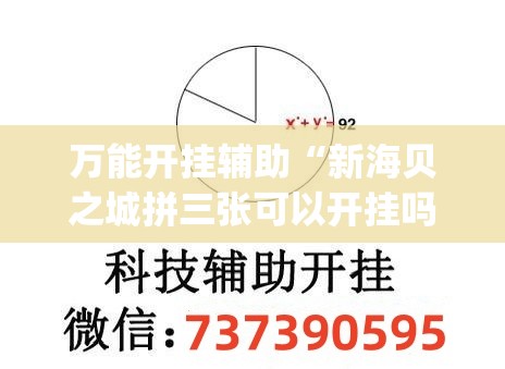 万能开挂辅助“新海贝之城拼三张可以开挂吗(透视)	”开挂辅助脚本+详细开挂安装教程