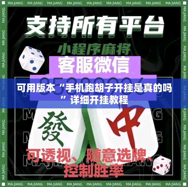 可用版本“手机跑胡子开挂是真的吗”详细开挂教程