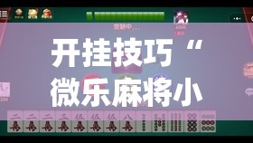 开挂技巧“微乐麻将小程序开挂神器下载”(免费)开挂辅助教学(最新辅助开挂教程)