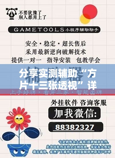 分享实测辅助“方片十三张透视”详细外挂透视辅助软件教程