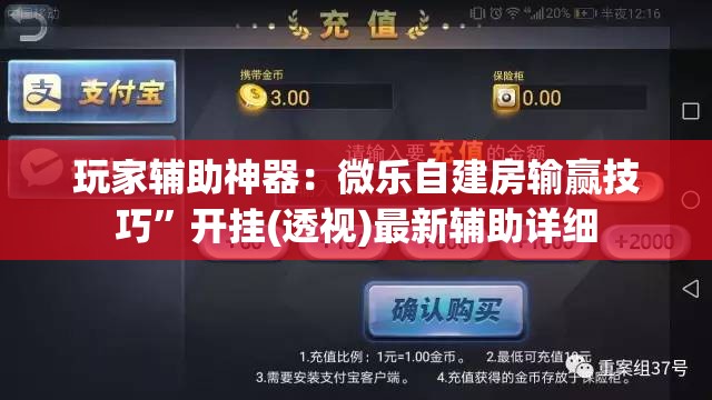 玩家辅助神器：微乐自建房输赢技巧”开挂(透视)最新辅助详细