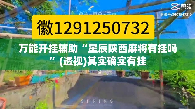 万能开挂辅助“星辰陕西麻将有挂吗”(透视)其实确实有挂