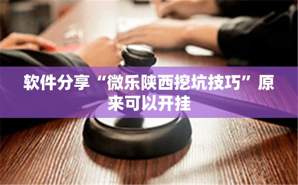 软件分享“微乐陕西挖坑技巧”原来可以开挂