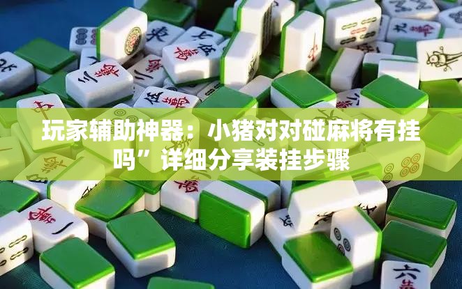 玩家辅助神器：小猪对对碰麻将有挂吗	”详细分享装挂步骤