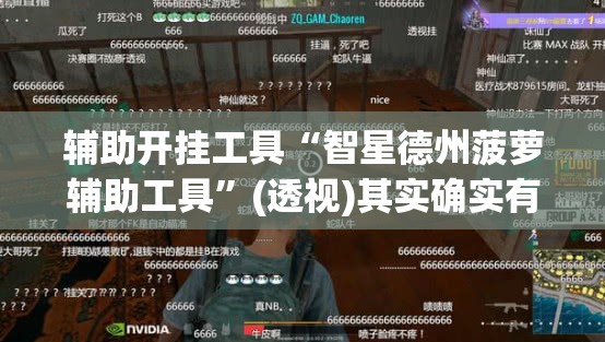 辅助开挂工具“智星德州菠萝辅助工具”(透视)其实确实有挂