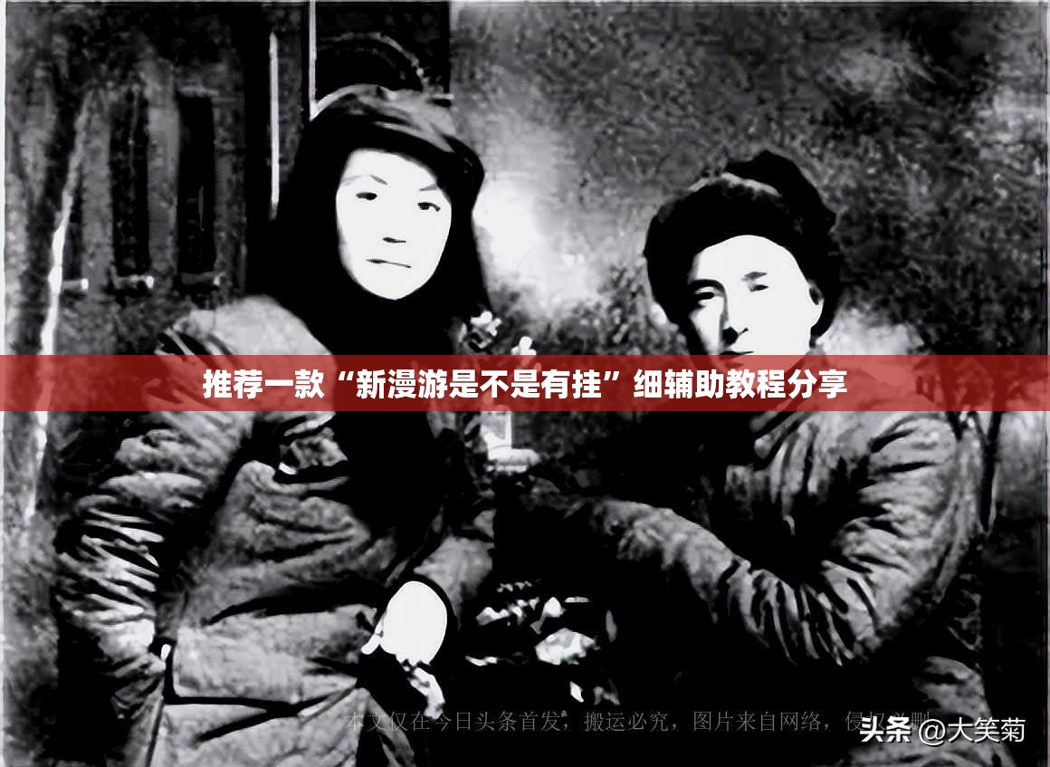 推荐一款“新漫游是不是有挂”细辅助教程分享