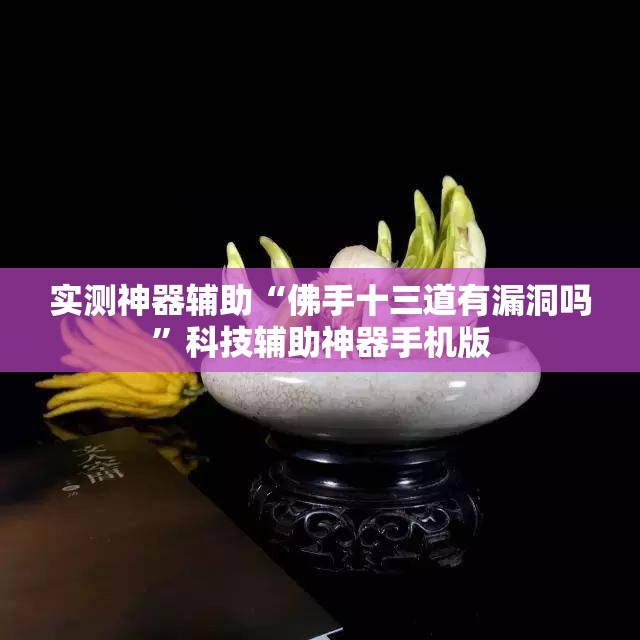 实测神器辅助“佛手十三道有漏洞吗”科技辅助神器手机版