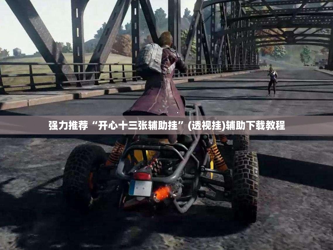 强力推荐“开心十三张辅助挂”(透视挂)辅助下载教程