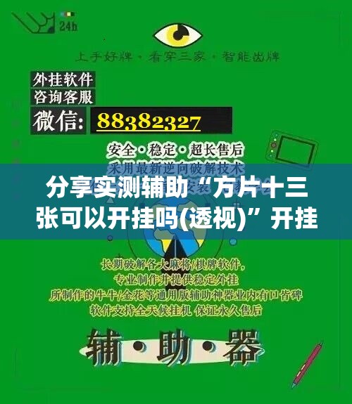 分享实测辅助“方片十三张可以开挂吗(透视)”开挂辅助脚本+详细开挂安装教程