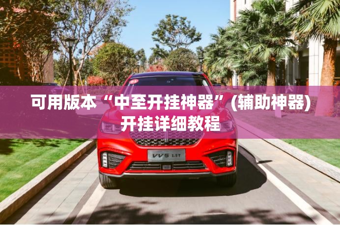 可用版本“中至开挂神器	”(辅助神器)开挂详细教程