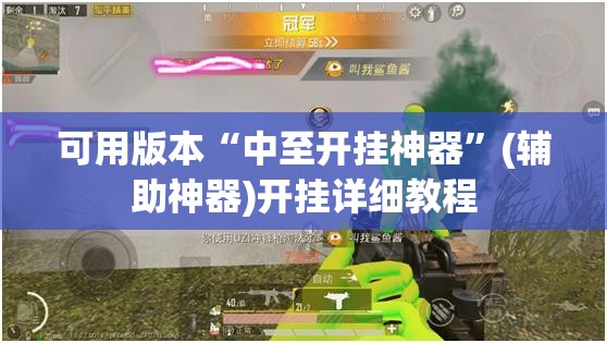可用版本“中至开挂神器”(辅助神器)开挂详细教程
