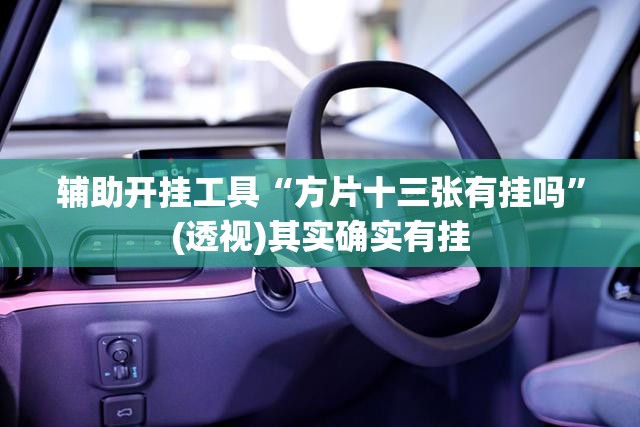 辅助开挂工具“方片十三张有挂吗”(透视)其实确实有挂
