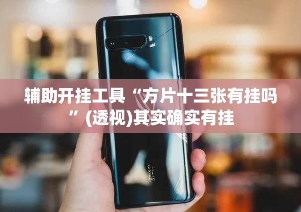 辅助开挂工具“方片十三张有挂吗	”(透视)其实确实有挂