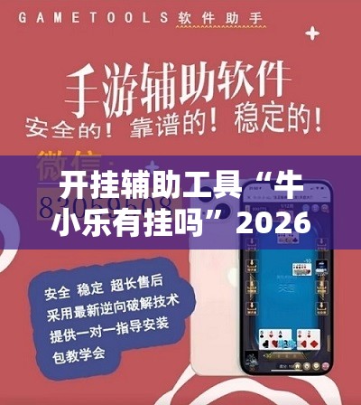 开挂辅助工具“牛小乐有挂吗”2026开挂教程步骤