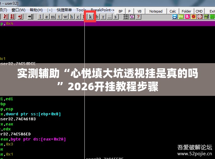 实测辅助“心悦填大坑透视挂是真的吗”2026开挂教程步骤