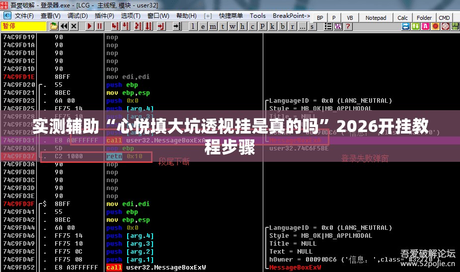 实测辅助“心悦填大坑透视挂是真的吗”2026开挂教程步骤