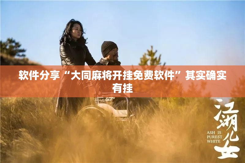 软件分享“大同麻将开挂免费软件”其实确实有挂